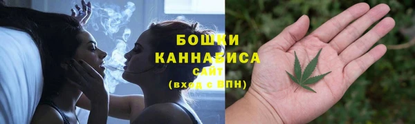 дурь Гусев