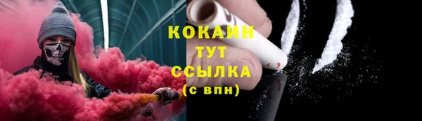 тгк Горно-Алтайск
