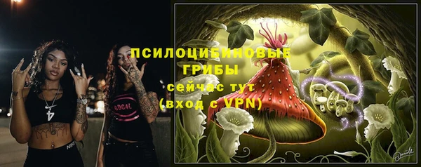 тгк Горно-Алтайск