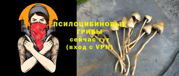 тгк Горно-Алтайск