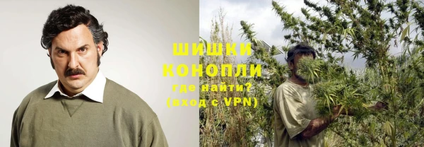 дурь Гусев