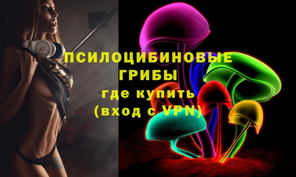 метадон Горняк
