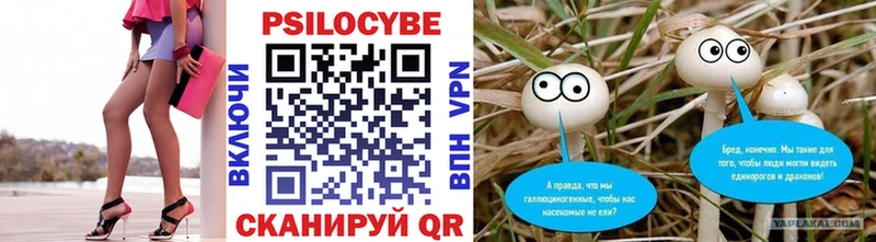 Купить  Артёмовский  Псилоцибиновые грибы прущие грибы 